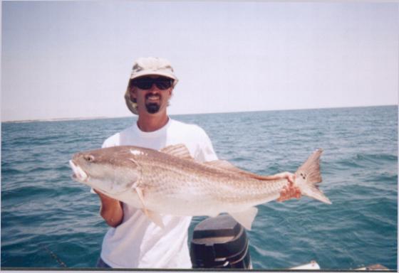 /user/redfish0003.JPG