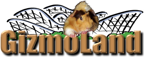 Welcome to GizmoLand