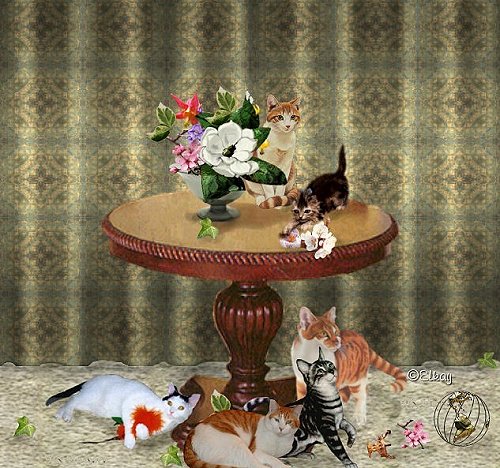Katter Play