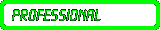 [ PROFESSIONAL ]