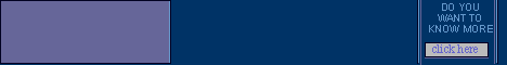 Banner 2
