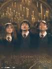 Picture of Emma Watson as Hermione Granger