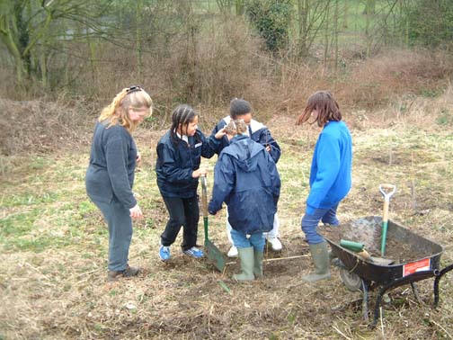 A Picture of us tree planting