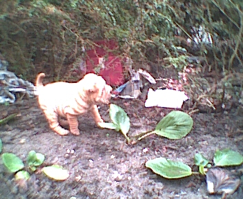 Image 8 of 20  -  113 kB