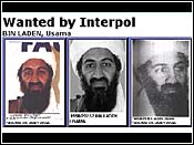 Laden / Interpol