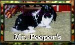 Mr. Peeper's Link Banner