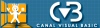canalvisualbasic.net