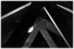 Image (photograph)