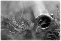 Image (photograph)