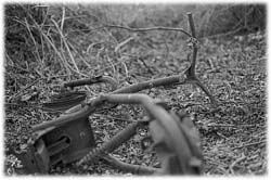 Image (photograph)