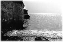 Image (photograph)