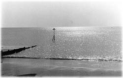 Image (photograph)