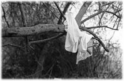 Image (photograph)