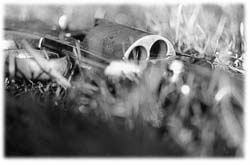 Image (photograph)