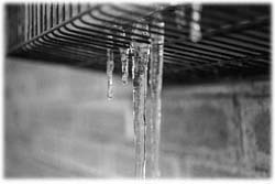 Image (photograph)