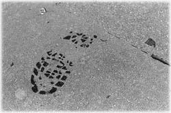 Image (photograph)