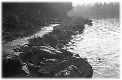 Image (photograph)