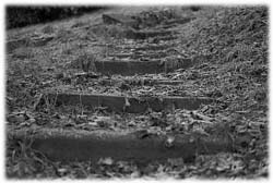 Image (photograph)