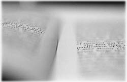 Image (photograph)