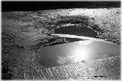 Image (photograph)