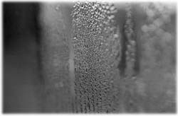 Image (photograph)