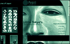 Brochure Portfolio