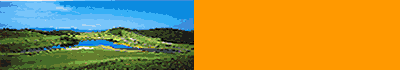 http://www.welcome.to/honmagolf