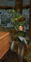 Runny Raid 1: Leidylake at the Bank