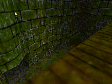 A pit of slime before the bridge