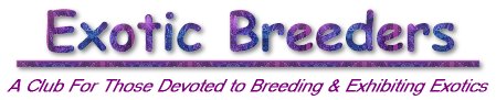 Exotic Breeders