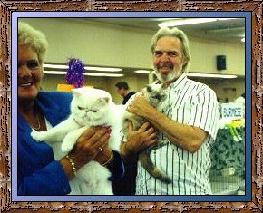 Two Cardinay Cats