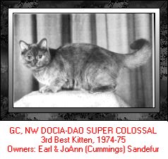 Super Colossal