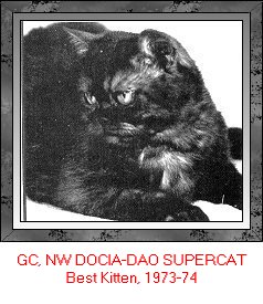 Docia-Dao Supercat