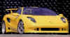 lamborghini_cala01.jpg (53932 bytes)