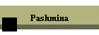 Pashmina