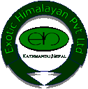 [Company Logo Image]