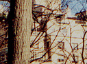 [12th and 13th floor apartment windows]