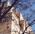 details about the building and neighborhood