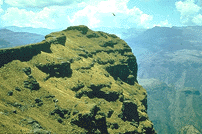SIMIEN.GIF (22025 bytes)