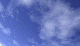 pla2_anm.gif (14554 bytes)