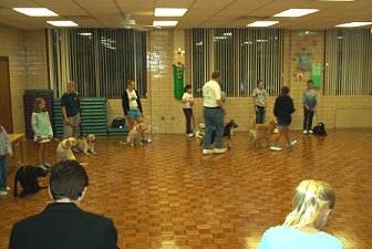 Puppy Sirius and a classmate
walking around the outer circle