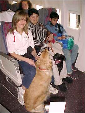 Puppy Raisers with the pups seated on the plane
