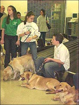 Puppy Raisers and pups in the luggage area