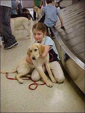 A future Seeing Eye Guide Dog with
her handler in the luggage area