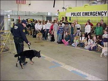 K-9 Hero and his handler
showing how Hero works