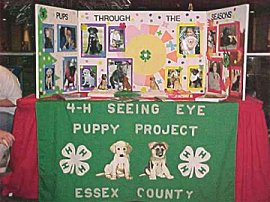 Essex County 4H Puppy Project
display at Liberty Science Center