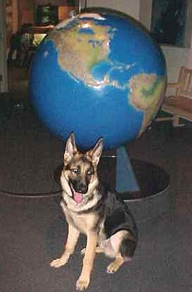 Sirius in front of a large globe