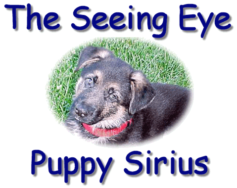 THE SEEING EYE PUPPY, SIRIUS