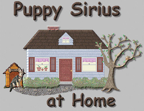 Puppy Sirius at Home