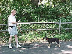 REST at a Standing Position